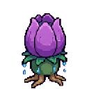 Lotanta